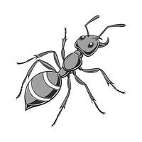Ant Creative on White Background vector