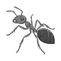 Unique Ant II Design on White Background vector