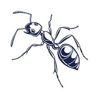 General Ant on White Background vector