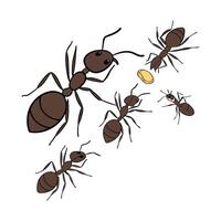Creative Ants Insect Graphic on White vector