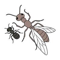 Beautiful Aphidant Insect Design on White vector