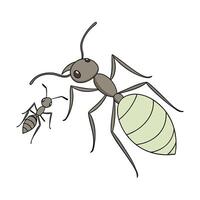 Creative Aphidant Insect Graphic on White vector