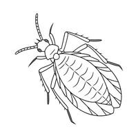 Aphid on White Background vector