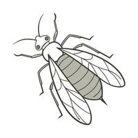 Stylish Aphid Insect Graphic on White vector