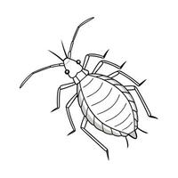 Aphid Insect Design with White Background vector