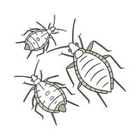 Aphids Insect Design on White Background vector