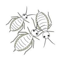 Stylish Aphids Insect Graphic Design vector