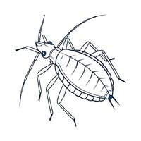 Creative Aphis Fabae Insect Illustration vector