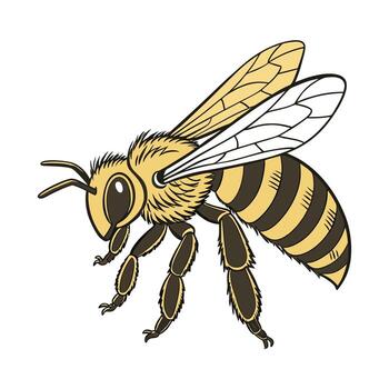 Apis Mellifera Bee Design on White Background vector