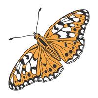 Argynnis Paphia Butterfly Design on White vector