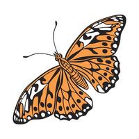 Creative Argynnis Paphia Butterfly Design vector