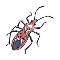 Beautiful Assassin Bug Graphic on White vector