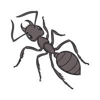 Atta Cephalotes Ant Design on White vector