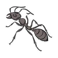 Beautiful Atta Cephalotes Ant Design vector
