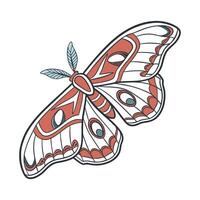 Stylized Attacus Atlas on White Background vector