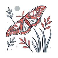 Stylish Attacus Atlas Moth Design with White vector