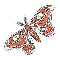 Creative Attacus Atlas Moth Illustration on White vector