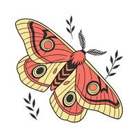 Stylish Automeris Io Moth Graphic on White vector