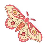 Automeris Io Moth Design on White vector