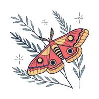 Beautiful Automeris Io Moth Design vector