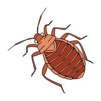 Stylish Bedbug Insect Illustration vector