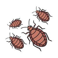 Beautiful Bedbugs Design on White Background vector