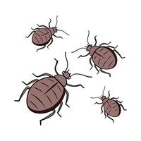 Creative Bedbugs Insect Graphic Design vector