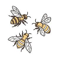 Stylish Bees Insect Illustration on White vector
