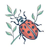 Beautiful Beetle Design on White Background vector