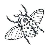 Stylish Beetle Illustration on White vector