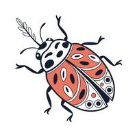 Realistic Beetle Illustration on White vector