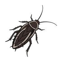 Blatta Orientalis Cockroach Design on White vector