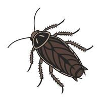 Creative Blatta Orientalis Graphic on White vector