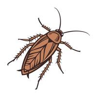 Blattella Germanica Cockroach Design on White vector