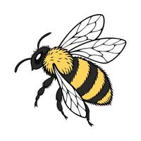 Beautiful Bombus Bee Design on White vector