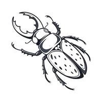 Boreus Hyemalis Mecoptera Design on White vector