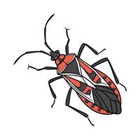 Boxelder Bug Design on White Background vector