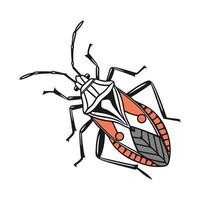 Stylish Boxelder Bug Illustration Design vector