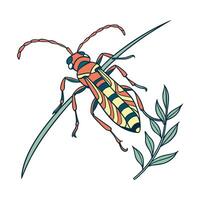 Creative Brachygastra Lecheguana Graphic vector