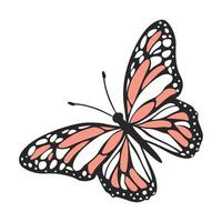 Beautiful Butterfly Design on White vector
