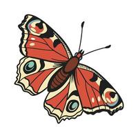 Stylish Butterfly Illustration on White vector
