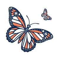 Beautiful Butterfly Illustration on White vector