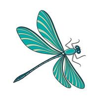 Stylish Calopteryx Splendens Dragonfly Illustration vector
