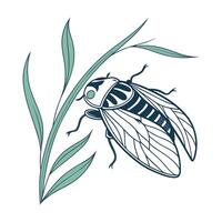 Beautiful Carausius Morosus Design vector