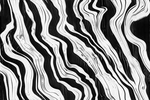 A black and white zebra print pattern photo