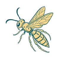 Creative Chrysis Ignita Graphic vector