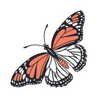 Creative Colotis Danae Butterfly Graphic vector