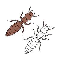 Creative Coptotermes Formosanus Graphic vector