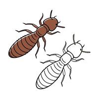 Stylish Coptotermes Formosanus Illustration vector