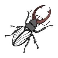 Beautiful Corydalus Cornutus Design vector